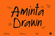 CS Aminta Drawn