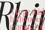 The Silver Editorial Serif Font, a Serif Font by SilverStag Type Foundry (Thumbnail 19 of 25)