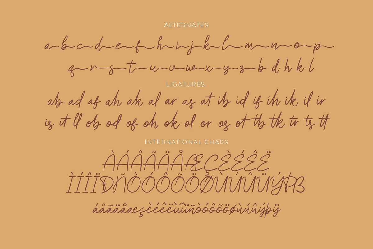 Faugllin Balseyn | Handwritten Font, a Script Font by gracetype_studio (Photo 12 of 13)