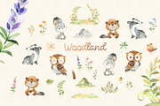 Woodland. Animal Collection, an Animal Illustration by StarJam (Thumbnail 4 of 9)