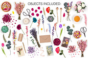 Botanical Scene Creator, a Product Mockup by Pixomize (Thumbnail 5 of 5)