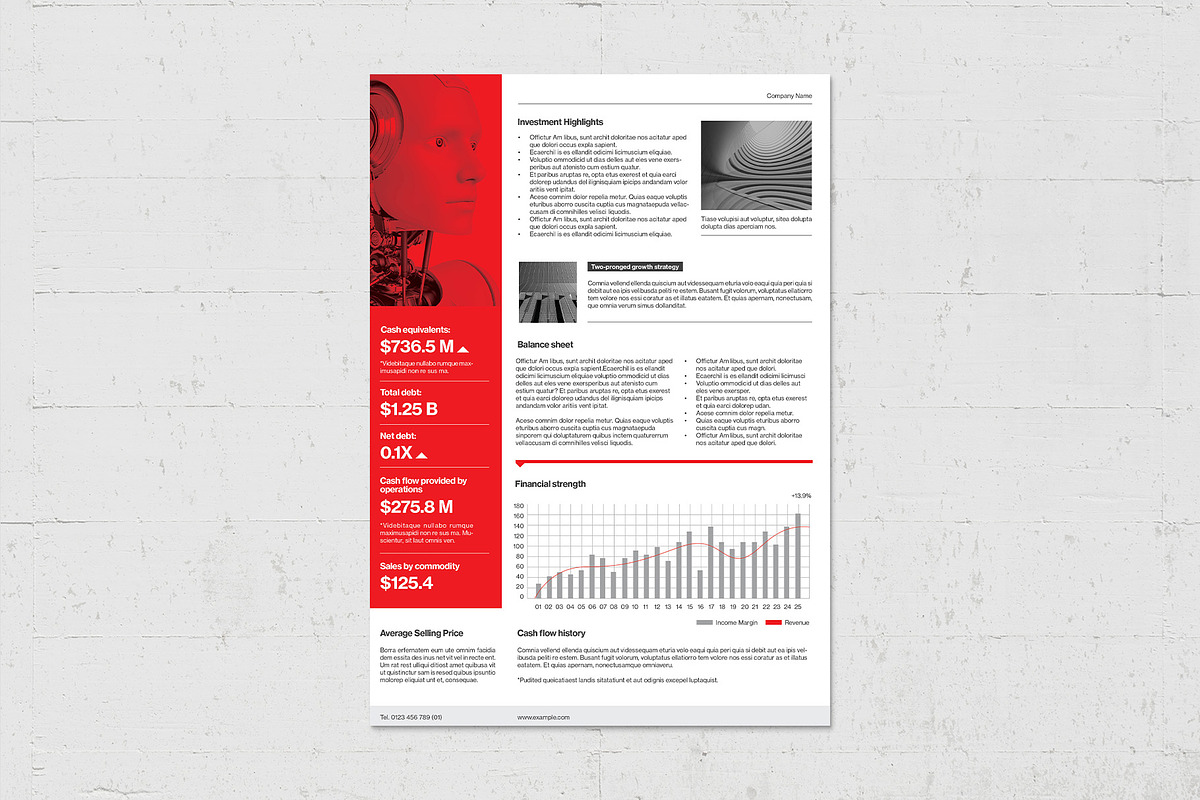 Fact Sheet Template, a Flyer Template by BrandPacks (Photo 2 of 5)