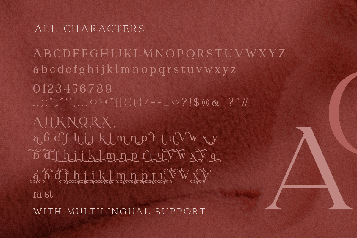 Redrains - Modern Serif Family, a Serif Font by Sarid Ezra (Photo 9 of 9)