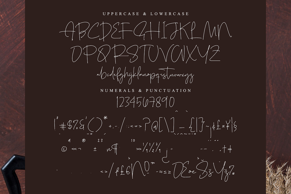 Skalinyas, a Script Font by operatype.co (Photo 13 of 15)
