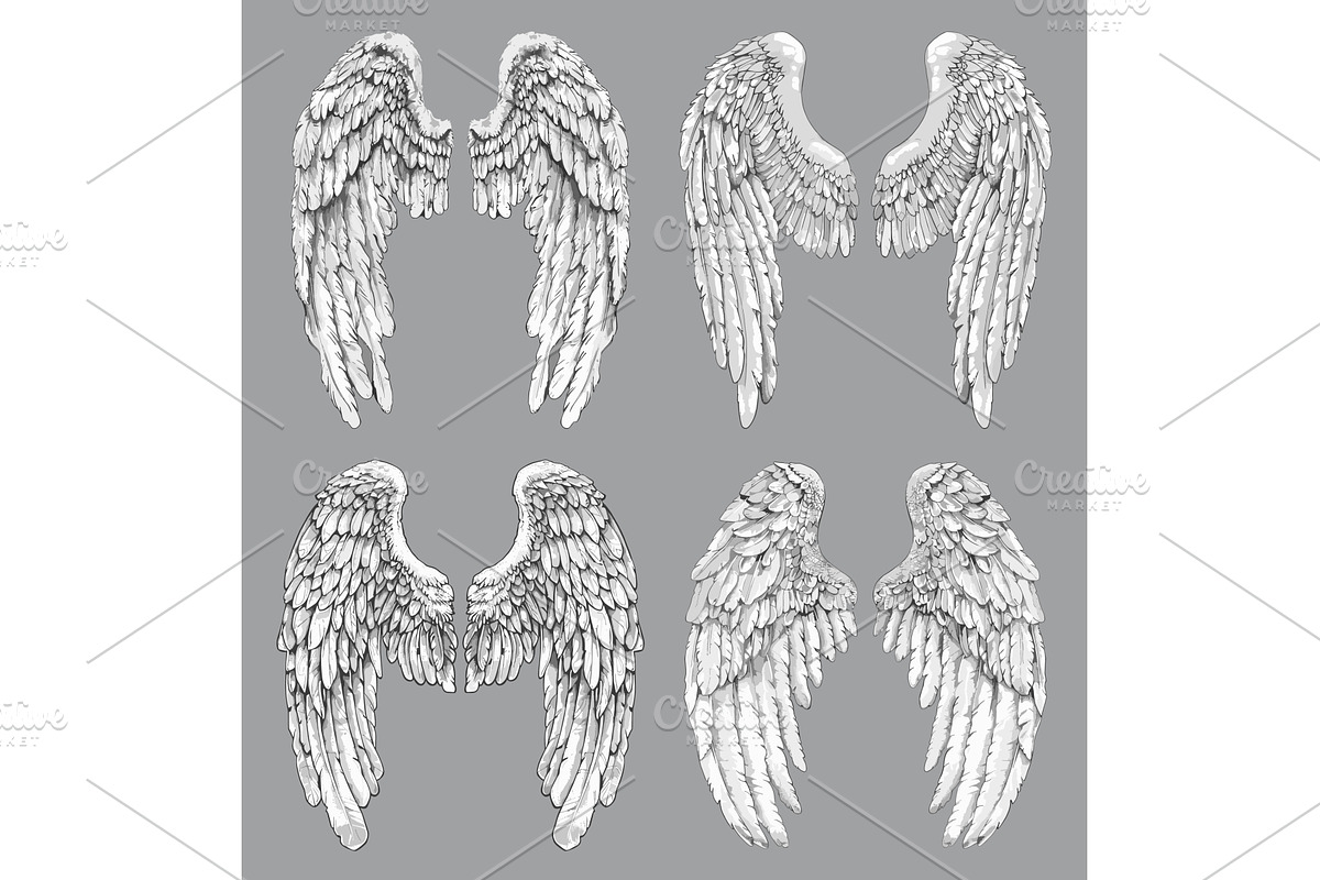 Beautiful white angel wings set in, an Object Illustration by LadadikArt