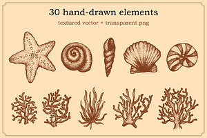 Hand Drawn Sea Life Elements