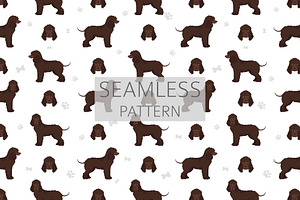 Irish Water Spaniel Clipart