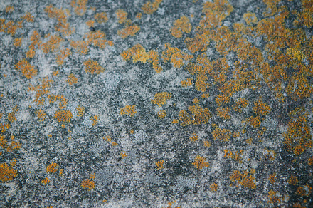 Aging Steps preview 6