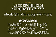 Runlight Harmony Groovy Serif, a Serif Font by timelesstype.co (Thumbnail 18 of 20)