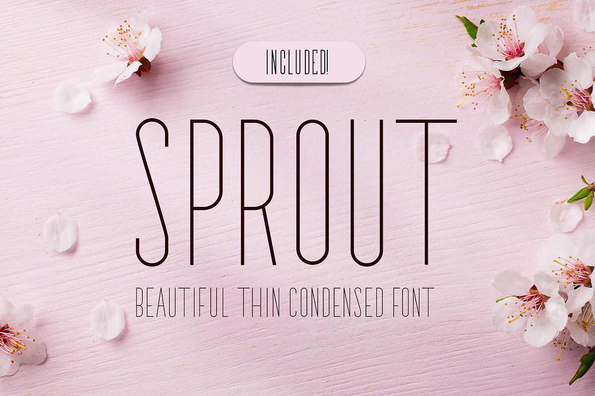 Bridal Sans Serif - Multi Weight, a Sans Serif Font by CorgiAstronaut (Photo 10 of 10)