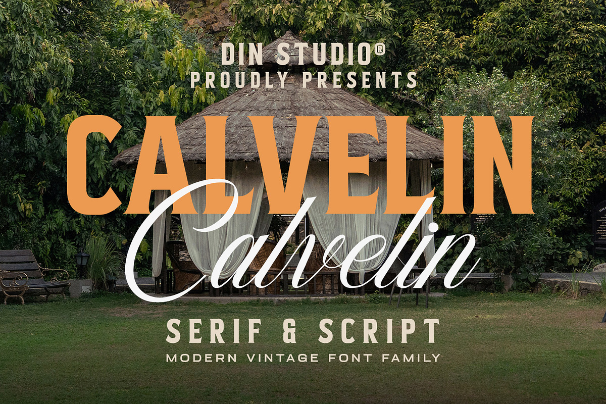 Calvelin, a Serif Font by din-studio.com (Photo 1 of 10)