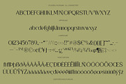 CS Aurellyn Drawn, a Serif Font by Craft Supply Co. (Thumbnail 8 of 8)