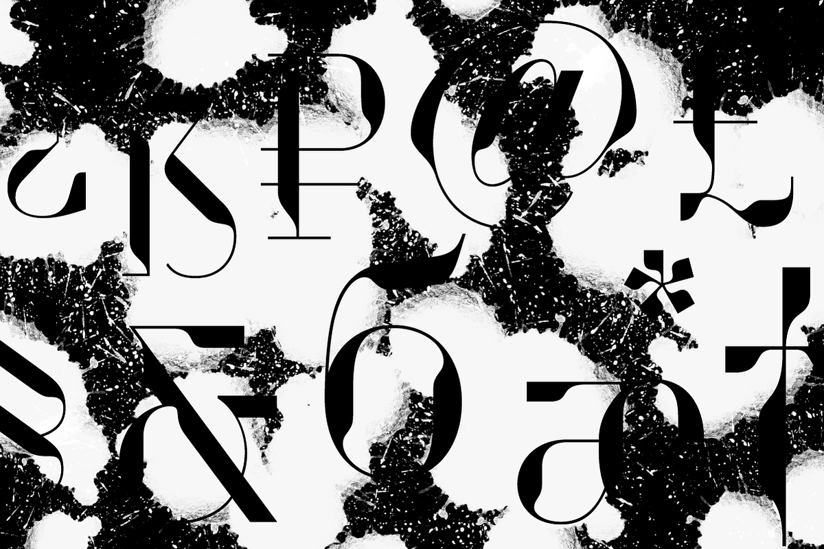 Drongo Font, a Serif Font by Yury Veselov (Photo 7 of 12)