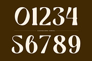 CS Brandis Drawn, a Serif Font by Craft Supply Co. (Thumbnail 4 of 8)