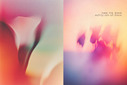 PETAL HAZE: Floral-Blur Backgrounds, a Background Graphic by alonahaidash (Thumbnail 10 of 12)