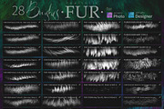 Realistic FUR Brushes for Affinity, a Brush Add-On by Eldar Zakirov's (Thumbnail 2 of 5)