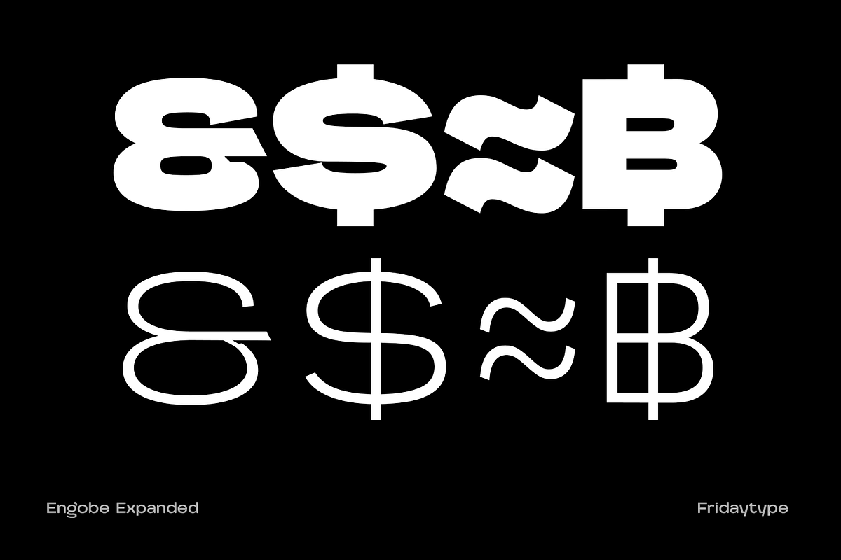 Engobe Expanded, a Sans Serif Font by Fridaytype (Photo 12 of 12)
