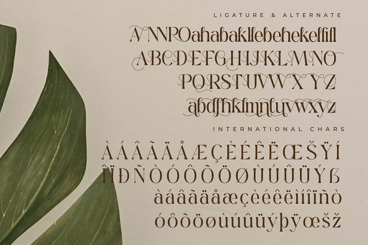 Qedgan Mellodysta A Modern Font Duo, a Serif Font by Storytype Studio (Photo 14 of 15)