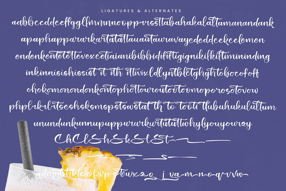 Shiny Cottage Modern Handbrush Font, a Script Font by stylishtype.co (Photo 19 of 20)