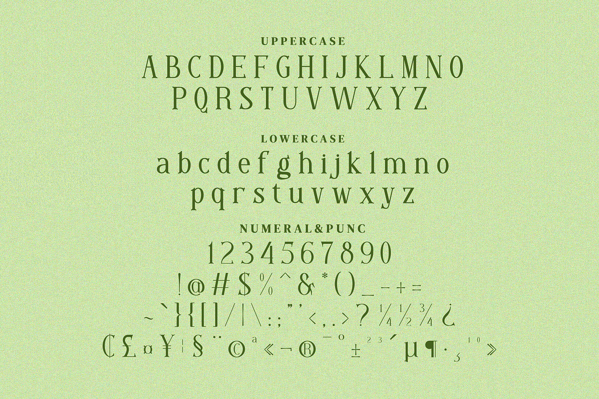 Moore Great Serif Fonts, a Serif Font by mahstudios | Creative Market