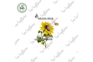 Sunflower Butterfly Png File