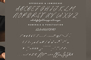 Rullian Vicotas, a Script Font by Integritype Studio (Thumbnail 15 of 15)