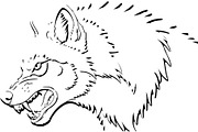 Alpha Wolf Silhouettes Bundle, an Animal Illustration by Designer_Momina (Thumbnail 14 of 21)