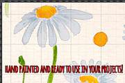 Spring Daisies Watercolor Bundle, a Seasonal Illustration by Violet LeBeaux (Thumbnail 3 of 3)