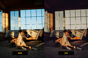 Analog Film Lightroom Presets, an Action Add-On by Lavinsky Art Store (Thumbnail 10 of 12)