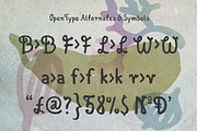 DeBouffet Font Family, a Font by Magdalena Boffito (Thumbnail 4 of 4)