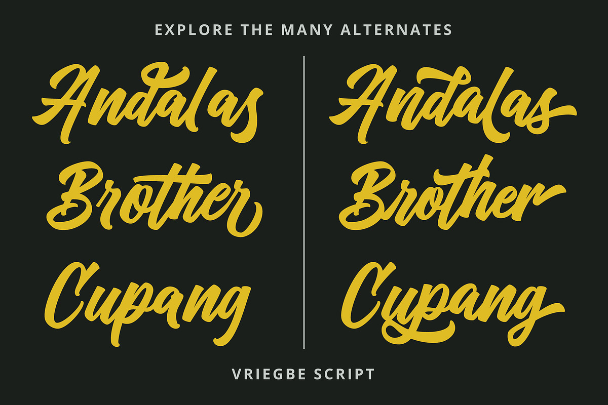 Vriegbe - Bold Script Logotype, a Script Font by tebaltipislab (Photo 2 of 13)