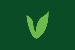 Letter V Leaf Logo Template