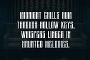 Nocturne, a Serif Font by Loudoun Design Co. (Thumbnail 3 of 5)