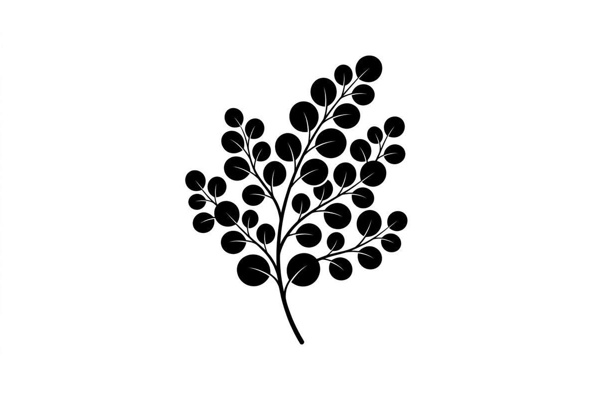 Eucalyptus Leaf Branch Collection, an Object Graphic by Designer_Momina (Photo 3 of 3)