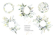 Herbal Watercolor collection, a Work Illustration by Lisima (Thumbnail 12 of 14)