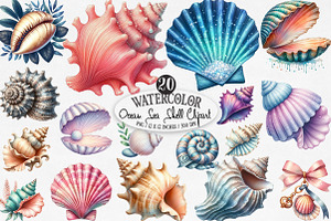 Ocean Sea Shell Sublimation PNG, an Illustration by Designking