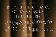 Hildan Modern Ligature Serif, a Serif Font by Alfinart (Thumbnail 7 of 10)