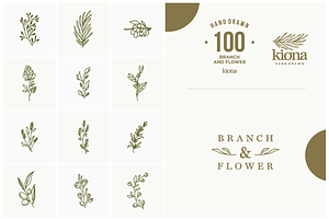 Hand Drawn Branch And Flower Element