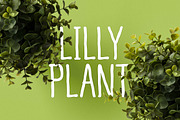 Pineapple Type Family, a Font by Types and Boats (Thumbnail 10 of 11)