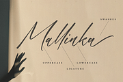 Handwritten Font, a Script Font by Bekeen.co (Thumbnail 2 of 12)
