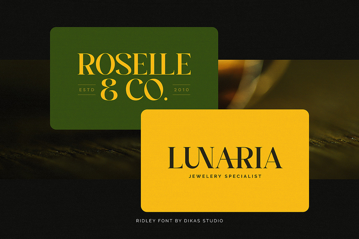 Ridley, a Serif Font by Dikas Studio (Photo 8 of 10)