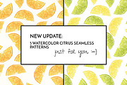 Watercolor Citrus Fruits, a Food Illustration by Curve and Pixel (Thumbnail 3 of 4)