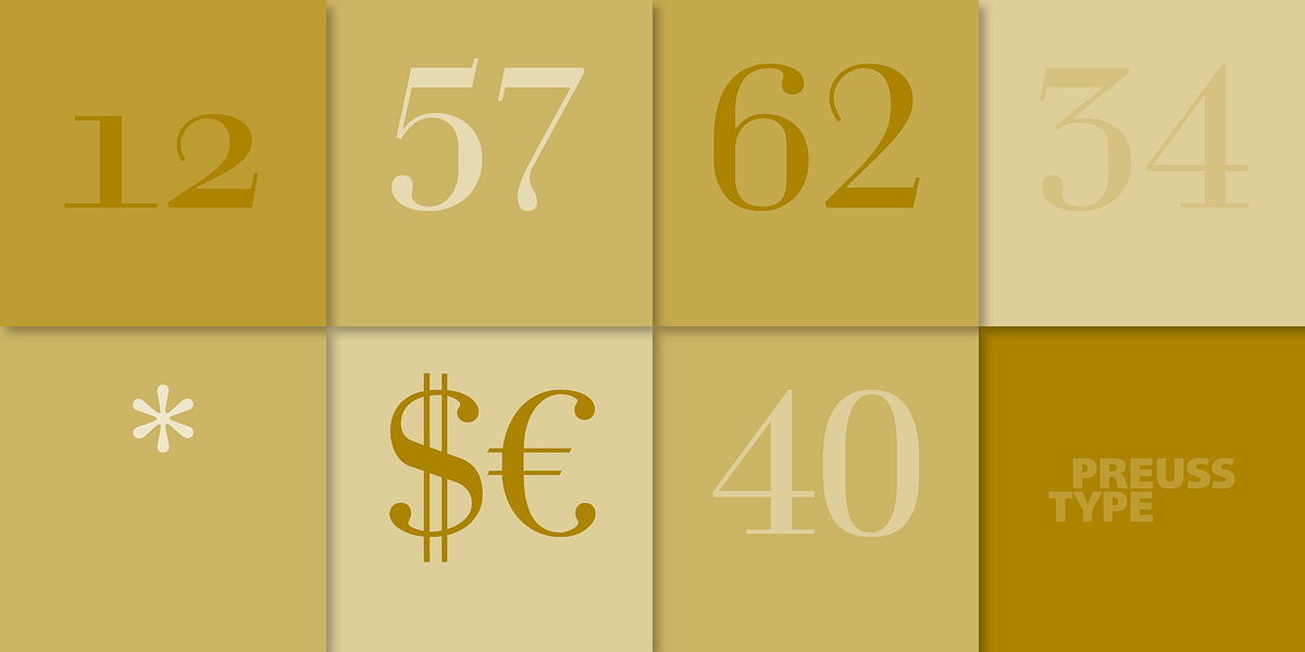 Prillwitz PRO, a Serif Font by preussTYPE (Photo 9 of 9)