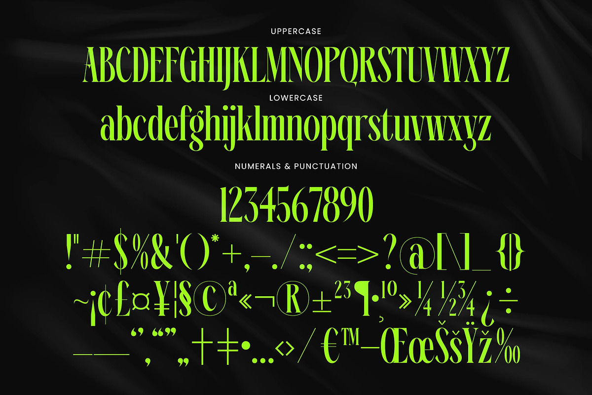 Ehkofa Modern Display Serif Font, a Serif Font by timelesstype.co (Photo 11 of 20)