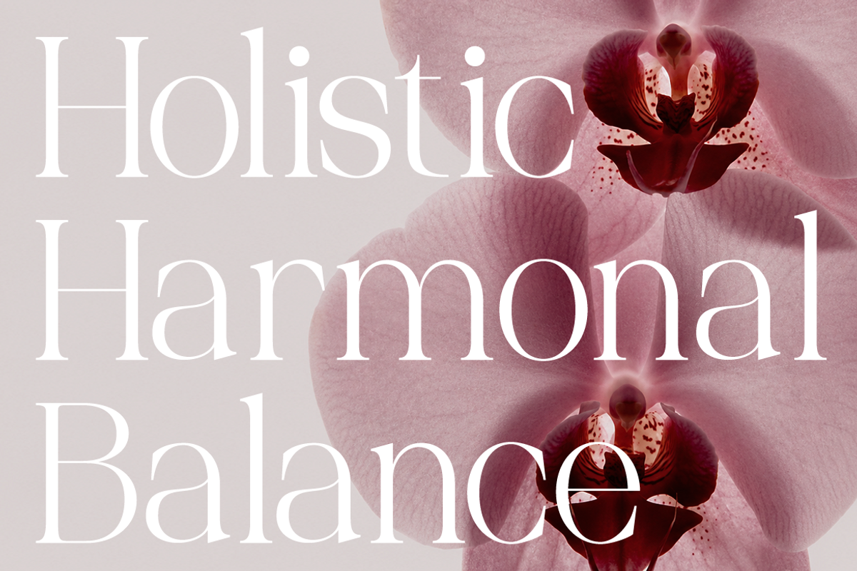 Palgrace Modern Serif Typeface Font, a Serif Font by Vadovastd (Photo 4 of 11)