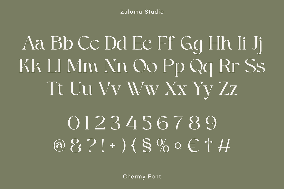 Chermy, a Serif Font by Zaloma Studio (Photo 15 of 17)
