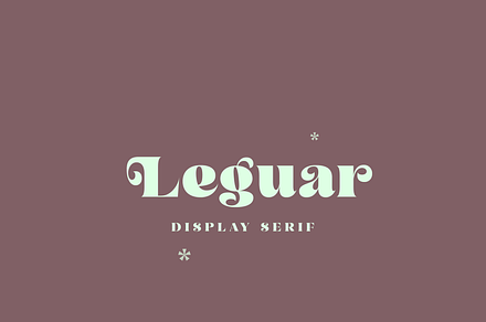 Leguar – A Modern Serif
