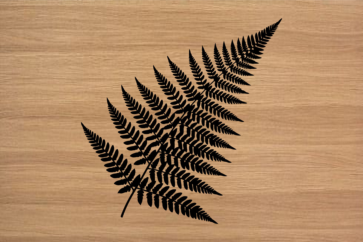 Fern Leaf Silhouette PNG Vector Set, an Object Illustration by Amazin_art (Photo 4 of 4)