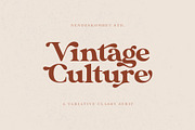 Roegals - A Variative Classy Serif, a Serif Font by NendesKombet Studio (Thumbnail 5 of 15)