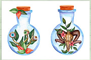 Magic, witchcraft, and Halloween, an Education Illustration by Olha's watercolor (Thumbnail 15 of 19)
